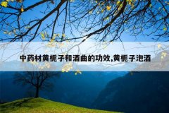 <b>��ҩ�Ļ����Ӻ;����Ĺ�Ч,�������ݾ�</b>