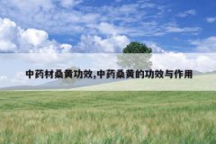 <b>��ҩ��ɣ�ƹ�Ч,��ҩɣ�ƵĹ�Ч������</b>