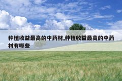 <b>��ֲ������ߵ���ҩ��,��ֲ������ߵ���ҩ������Щ</b>