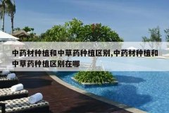 <b>��ҩ����ֲ���в�ҩ��ֲ����,��ҩ����ֲ���в�ҩ��ֲ��������</b>