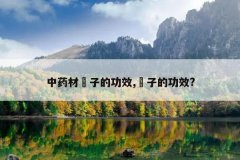 <b>��ҩ�Ė��ӵĹ�Ч,�t�ӵĹ�Ч?</b>