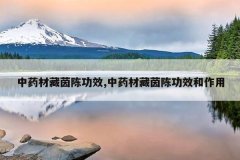 <b>��ҩ�Ĳ���¹�Ч,��ҩ�Ĳ���¹�Ч������</b>