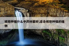 <b>�µ���ֲʲô��ҩ�����,�ʺ��µ���ֲ��ֲ��</b>