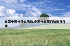 <b>��ܸ��ҩ��ʲô��Ч,��ҩ�İ�ܸ�Ĺ�Ч������</b>