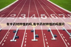 <b>����ҩ����ֲ����,����ҩ����ֲ����ͼƬ</b>