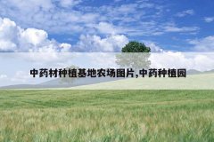 <b>��ҩ����ֲ����ũ��ͼƬ,��ҩ��ֲ԰</b>