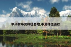 <b>��ҩ�İ�����ֲ����,������ֲ���</b>