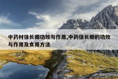 <b>ҩ쳤书Ч,ҩ쳤ĹЧüʳ÷</b>