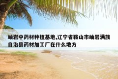 <b>�����ҩ����ֲ����,����ʡ��ɽ���������������ҩ�ļӹ�����ʲ</b>