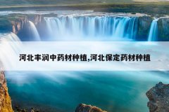 <b>�ӱ�������ҩ����ֲ,�ӱ�����ҩ����ֲ</b>