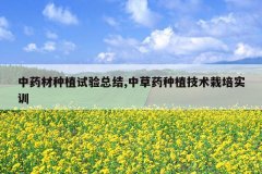 <b>��ҩ����ֲ�����ܽ�,�в�ҩ��ֲ��������ʵѵ</b>