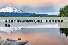 <b>��ֲʲô��ҩ������Ǯ,��ֲʲô��ҩ������Ǯ��</b>