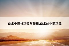 <b>������ҩ�Ĺ�Ч������,��������ҩ��Ч</b>