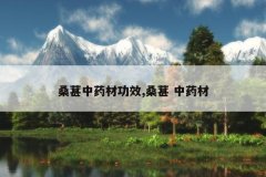 <b>ɣ����ҩ�Ĺ�Ч,ɣ�� ��ҩ��</b>