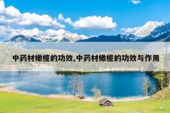<b>ҩ魵ĹЧ,ҩ魵ĹЧ</b>