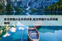 <b>�Ϸ���ֲʲô��ҩ�Ķ�,�Ϸ���ֲʲôҩ����׬Ǯ</b>