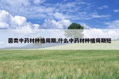 <b>������ҩ����ֲ����,ʲô��ҩ����ֲ���ڶ�</b>