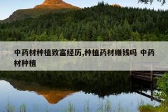 <b>��ҩ����ֲ�¸�����,��ֲҩ��׬Ǯ�� ��ҩ����ֲ</b>