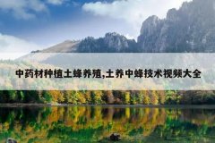 <b>��ҩ����ֲ������ֳ,�����з似����Ƶ��ȫ</b>