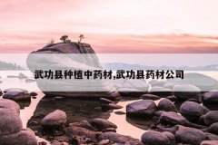 <b>书ֲҩ,书ҩĹ˾</b>
