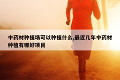 <b>��ҩ����ֲ��������ֲʲô,���������ҩ����ֲ���ĺ���Ŀ</b>