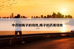 <b>��ҩ��÷�ӵĹ�Ч,÷�ӵ�ҩ�ù�Ч</b>