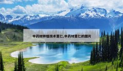 <b>��ҩ����ֲ����޲��,��ҩ��޲�ʵ�ͼƬ</b>