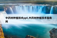 <b>��ҩ����ֲ����ppt,��ҩ����ֲ����ָ����</b>