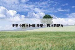 <b>������ҩ����ֲ,������ҩ��ҩ�䷽</b>