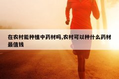 <b>��ũ������ֲ��ҩ����,ũ�������ʲôҩ����ֵǮ</b>