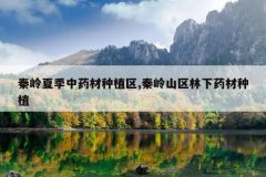 <b>�����ļ���ҩ����ֲ��,����ɽ������ҩ����ֲ</b>