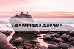 <b>������ҩ����ֲǼ��,Ǽ�����༼��</b>