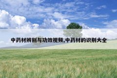 <b>��ҩ�ı���빦Ч��Ƶ,��ҩ�ĵ�ʶ���ȫ</b>