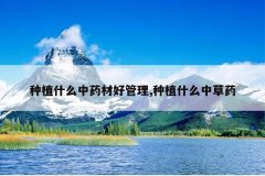 <b>��ֲʲô��ҩ�ĺù���,��ֲʲô�в�ҩ</b>