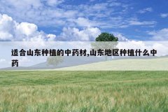 <b>�ʺ�ɽ����ֲ����ҩ��,ɽ��������ֲʲô��ҩ</b>