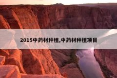 <b>2015��ҩ����ֲ,��ҩ����ֲ��Ŀ</b>