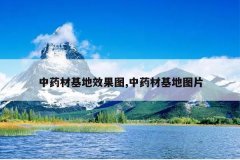 <b>��ҩ�Ļ���Ч��ͼ,��ҩ�Ļ���ͼƬ</b>