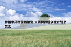 <b>��ֲ��ҩ��Ӫ���߻�,��ҩ����ֲ��ҵ�ƻ��鷶��</b>