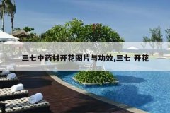 <b>������ҩ�Ŀ���ͼƬ�빦Ч,���� ����</b>