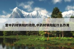 <b>����ҩ�������Ĺ�Ч,��ҩ��������ʲô����</b>