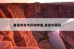 <b>����������ҩ����ֲ,�����в�ҩ</b>