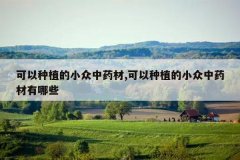 <b>������ֲ��С����ҩ��,������ֲ��С����ҩ������Щ</b>