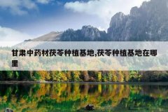 <b>������ҩ��������ֲ����,������ֲ����������</b>