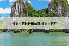 <b>������ҩ����ֲ��˾,������ҩ��</b>