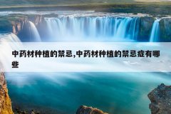 <b>��ҩ����ֲ�Ľ���,��ҩ����ֲ�Ľ���֢����Щ</b>