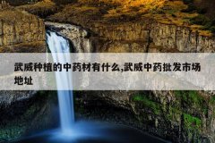 <b>������ֲ����ҩ����ʲô,������ҩ�����г���ַ</b>