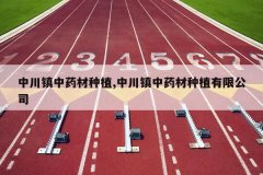 <b>�д�����ҩ����ֲ,�д�����ҩ����ֲ���޹�˾</b>