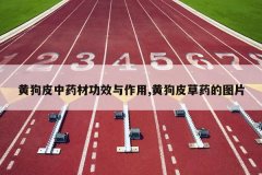 <b>�ƹ�Ƥ��ҩ�Ĺ�Ч������,�ƹ�Ƥ��ҩ��ͼƬ</b>