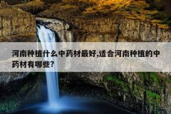 <b>������ֲʲô��ҩ�����,�ʺϺ�����ֲ����ҩ������Щ?</b>