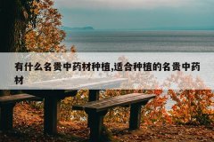 <b>��ʲô������ҩ����ֲ,�ʺ���ֲ��������ҩ��</b>